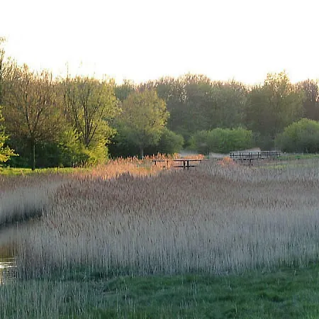 Swaenenburgh-2